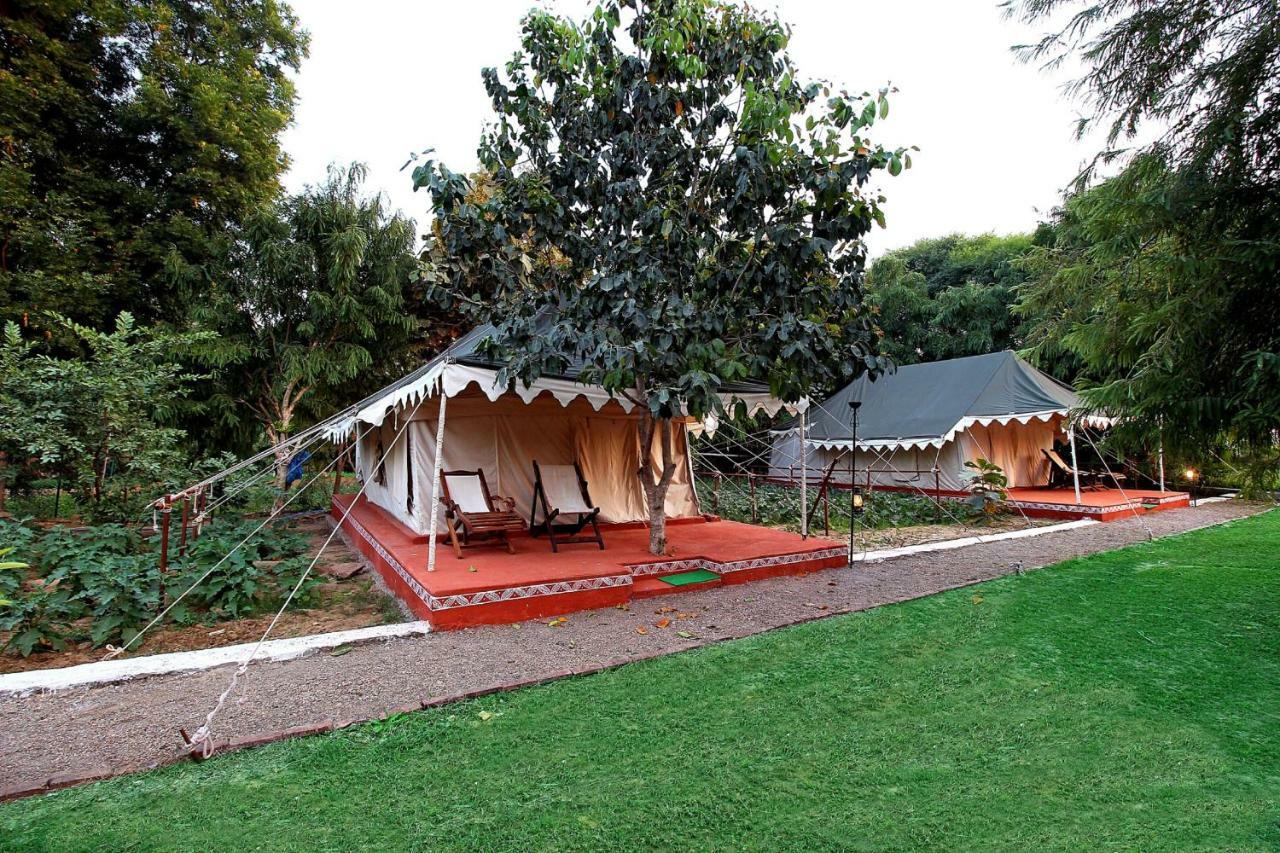 Bhadrawati - A Riverside Safari Lodge Ranthambore Ngoại thất bức ảnh