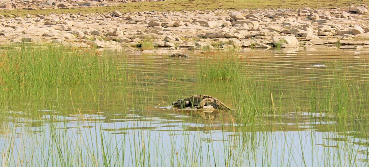 Bhadrawati - A Riverside Safari Lodge Ranthambore Ngoại thất bức ảnh