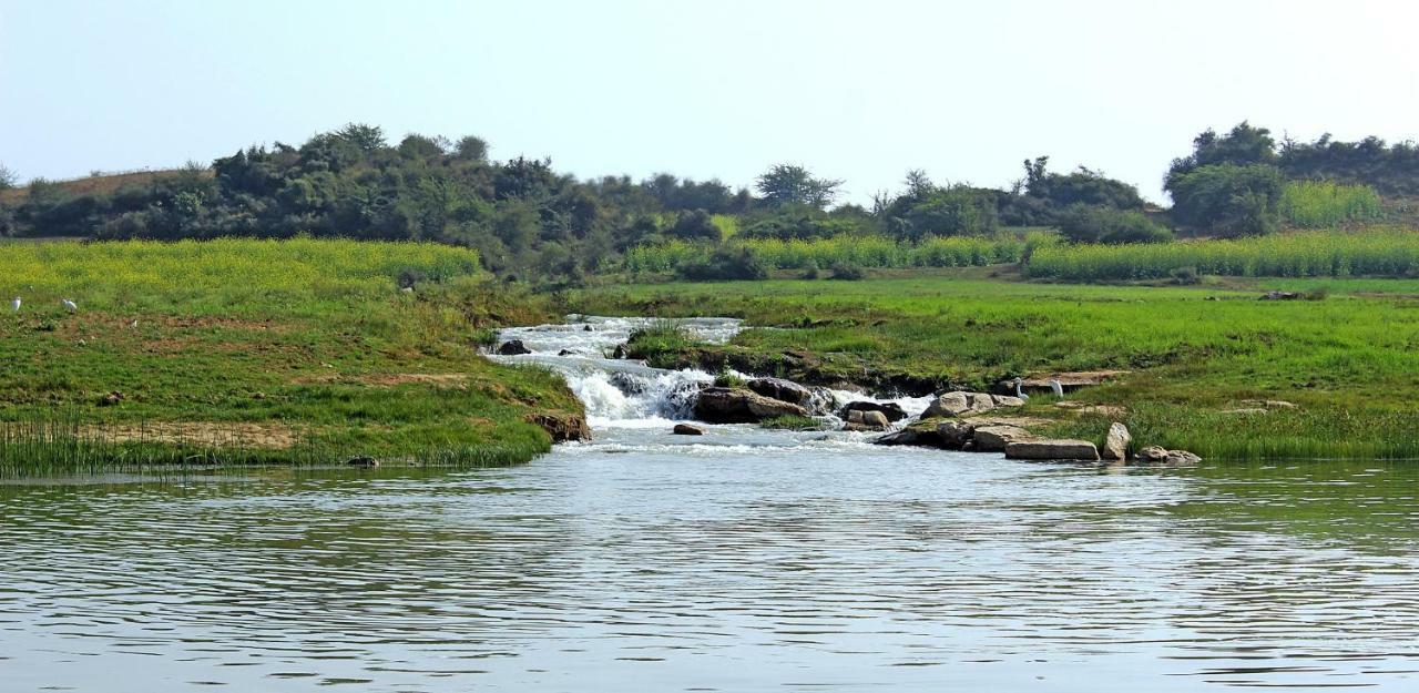 Bhadrawati - A Riverside Safari Lodge Ranthambore Ngoại thất bức ảnh